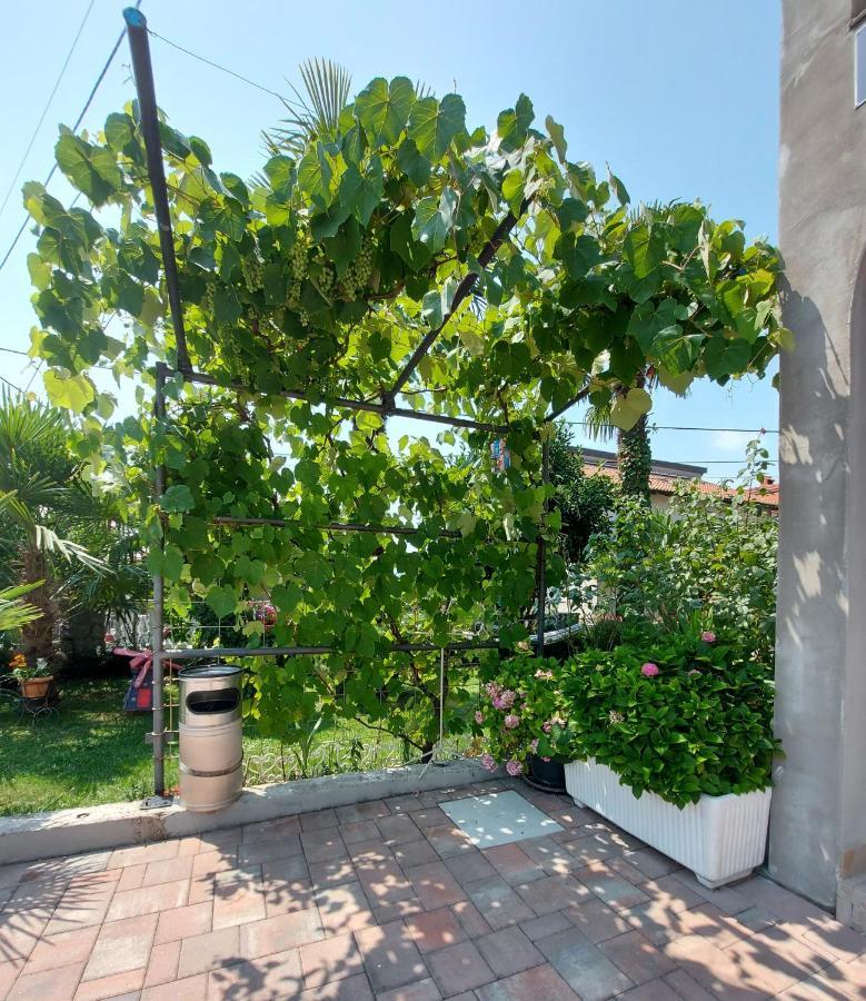 Apartman Palma Marinici  Luaran gambar